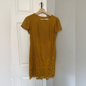 Golden yellow lace dress from Loft